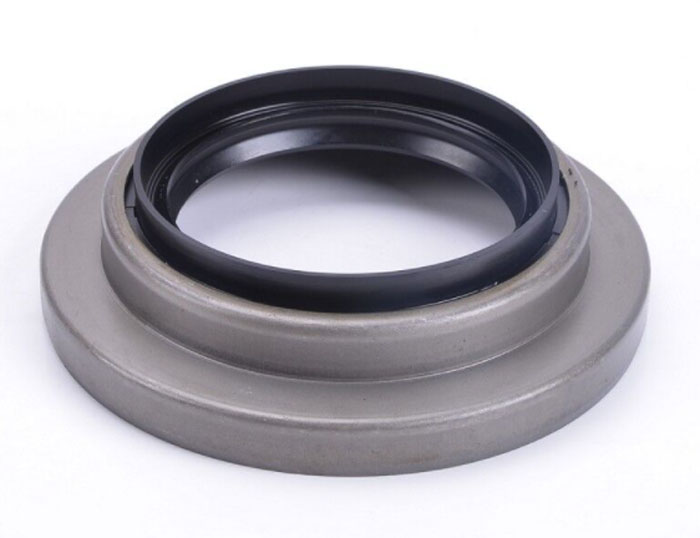 Automotive oil seal