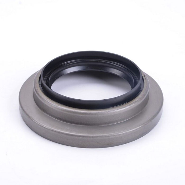 Automotive oil seal